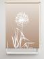 Preview: Rollo Allium 24 cappuccino, Rollo, Motivrollo, Rollo mit Druck, Fotorollo, bedrucktes Rollo, Fensterrollo,verdunkelndes Rollo, Sonnenschutz Rollo